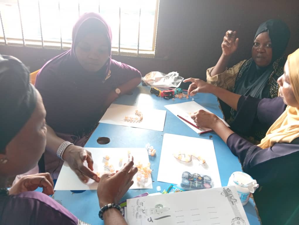 AIMS teacher training session